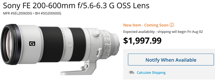 Sony 600mm f4 vs Sony 200-600mm  Is it ACTUALLY Worth $10,000 MORE??? 