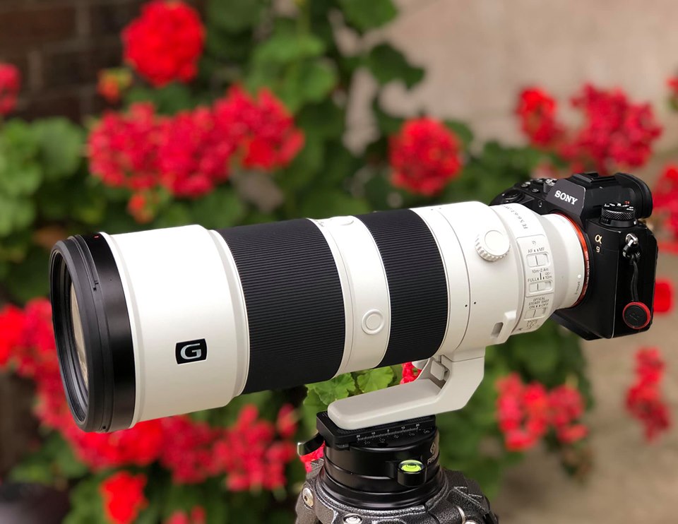 Getting a Sony 200-600 G lens for my FX3 to film wildlife and