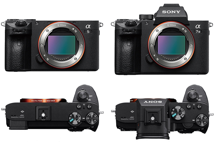 Sony new entry level camera will have very similar A7III specs in body size – sonyalpharumors